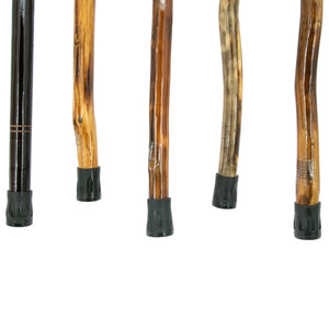 Walking Stick & Cane Assortment