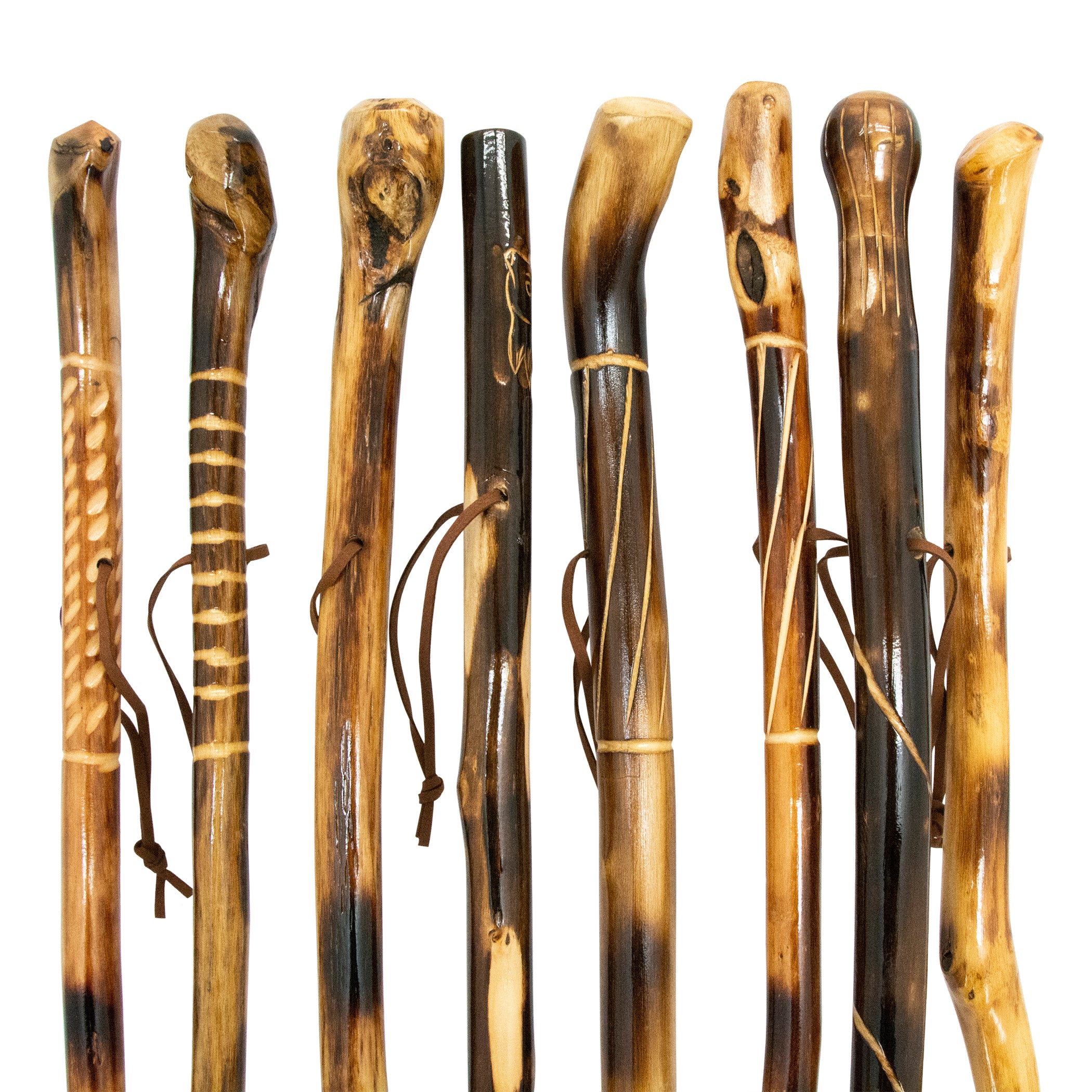 Walking Stick & Cane Assortment