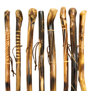 Walking Stick & Cane Assortment