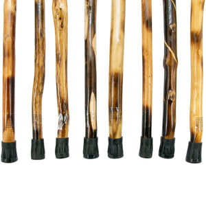 Walking Stick & Cane Assortment