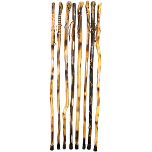 Walking Stick & Cane Assortment